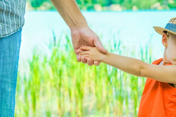 Τα χέρια ενός γονέα και παιδιού στη φύση σε ένα πάρκο δίπλα στη θάλασσα — Φωτογραφία Αρχείου