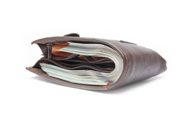 Beyaz arka planda bir çantada dolar iş parası