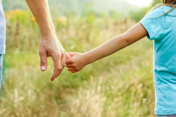 Руки родителя и ребенка в природе — стоковое фото