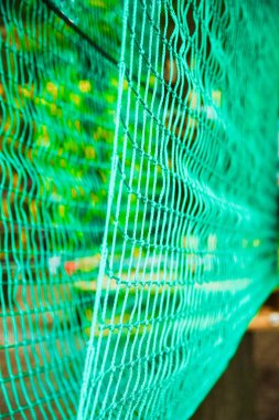 Güzel bir halat ve doğa üzerindeki bir parka tırmanma.