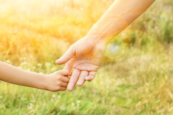 Handen van ouder en kind in de natuur Rechtenvrije Stockfoto's