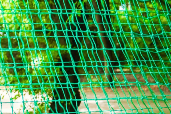 Corda bonita e escalada líquida no parque na natureza — Fotografia de Stock