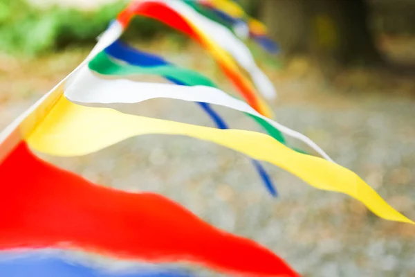 Beautiful flags on a rope in a park on the nature — Stock Photo, Image