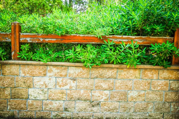 Hermosa valla en el parque en el fondo de la naturaleza — Foto de Stock