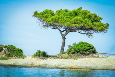 Yunan arka planında deniz kenarındaki güzel doğa