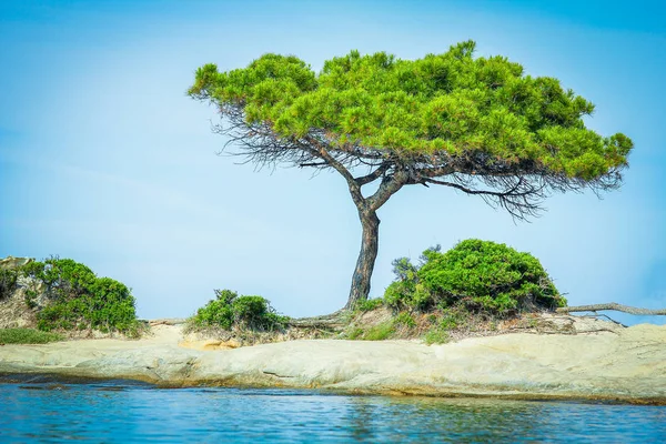Hermosa naturaleza junto al mar en el fondo griego — Foto de Stock