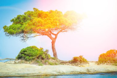 Yunan arka planında deniz kenarındaki güzel doğa