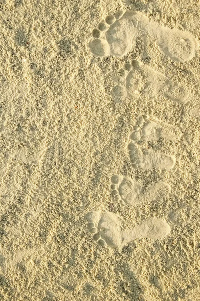 모래 위의 아름다운 발자국들 — 스톡 사진