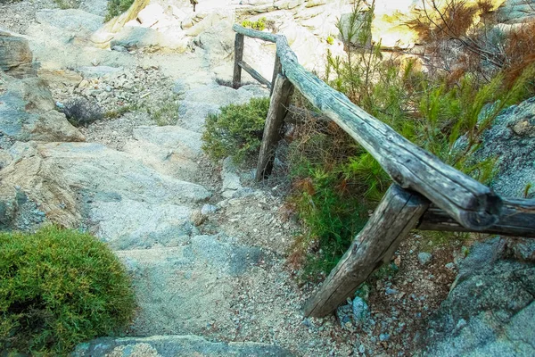 自然を背景にした美しい海への階段 — ストック写真