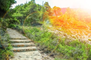 Parkın arka planında deniz kenarında doğa üzerine güzel adımlar.