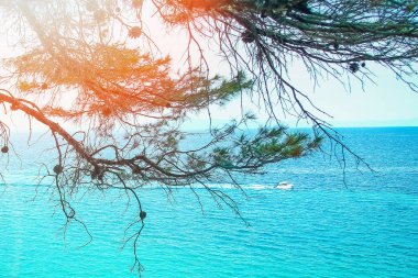 Parktaki arka planda deniz kenarında güzel bir doğa.