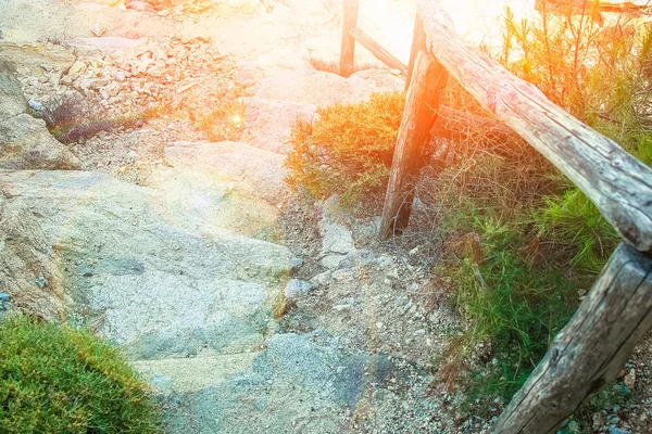 Beautiful steps by the sea on nature in the park background — Stock Photo, Image