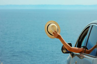 denizde arabada sürücü