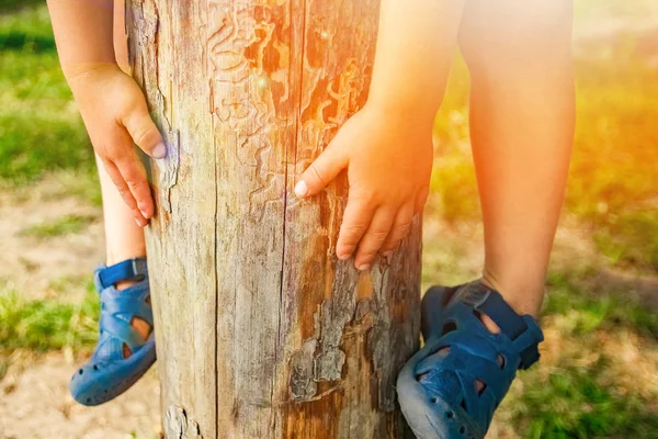 Händerna på ett lyckligt barn i naturen — Stockfoto
