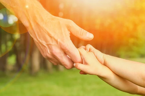 Hands of a happy parent and child in nature — Stock Photo, Image