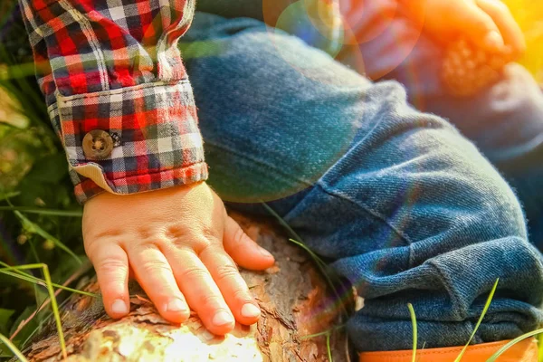 自然公園のカウボーイの足の美しい手 — ストック写真