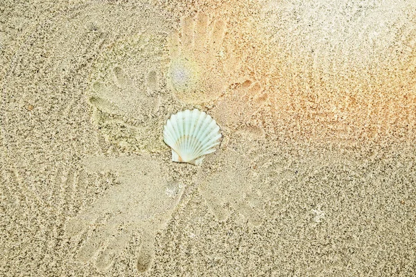 Beau motif sur le sable de la mer sur fond de nature — Photo