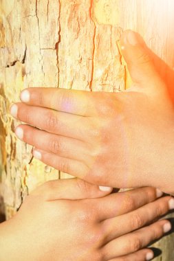 çocukların elleri doğada parkta bir kütük tutun