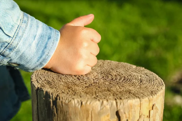 Les mains des enfants tiennent un moignon dans le parc dans la nature — Photo