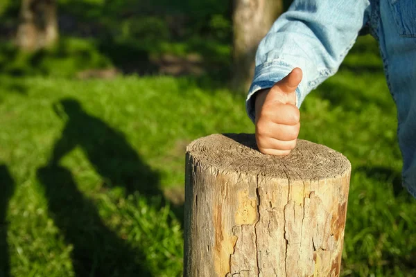 子供の手は自然の中で公園で切り株を保持します — ストック写真