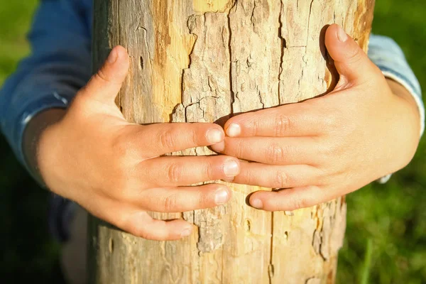 Children's hands hold a stump in the park in nature — Stock Photo, Image
