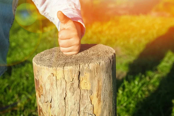 Les mains des enfants tiennent un moignon dans le parc dans la nature — Photo