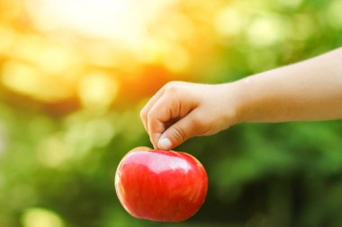 bahçe arka planda doğa üzerinde bir çocuğun elinde elma