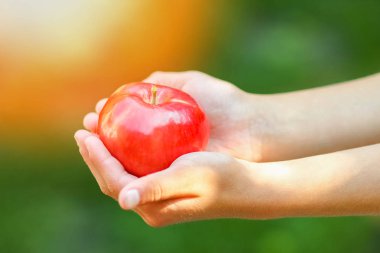 bahçe arka planda doğa üzerinde bir çocuğun elinde elma