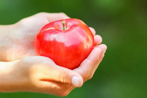 Manzana en las manos de un niño en la naturaleza en el fondo del jardín — Foto de Stock