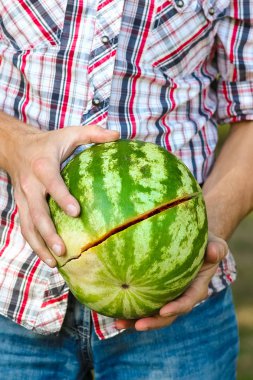 parkta doğa üzerinde bir adamın elinde karpuz