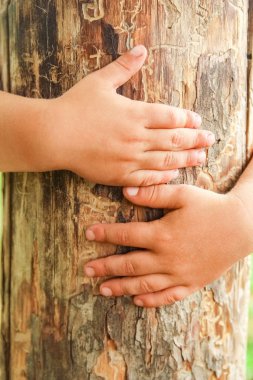 doğada mutlu bir çocuğun elleri