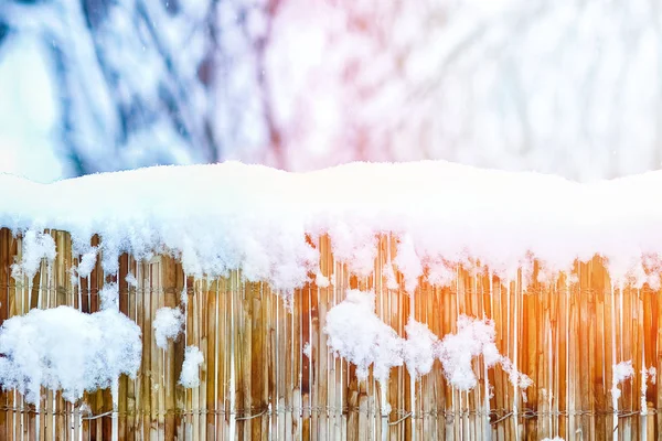 Bold fence in winter on nature in the park background — Stock Photo, Image