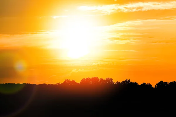 Hermoso atardecer en la naturaleza en el fondo del parque —  Fotos de Stock