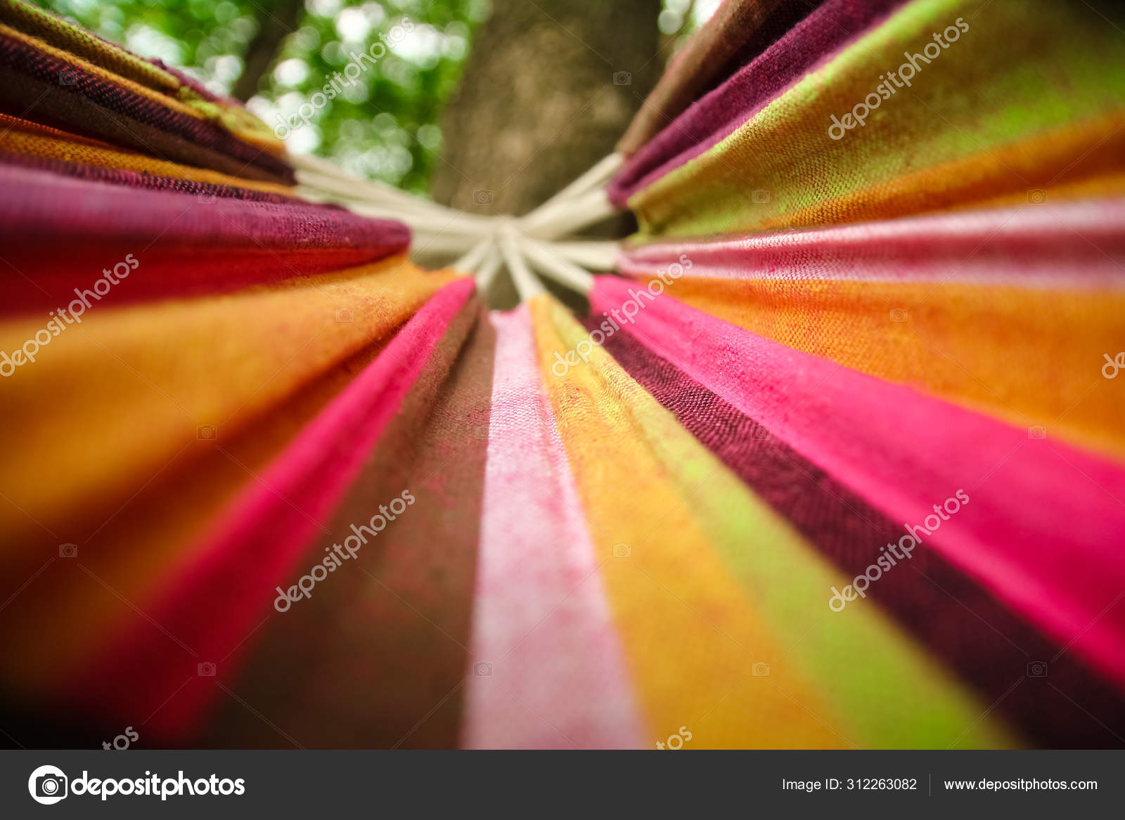 Beautiful Hammock Background Nature Park Stock Photo by ©Kostia777