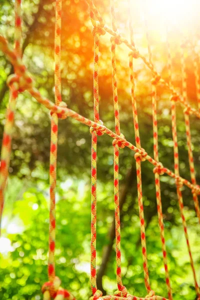 Beautiful rope and net climbing in the park on the nature — Stock Photo, Image