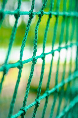 Güzel bir halat ve doğa üzerindeki bir parka tırmanma.