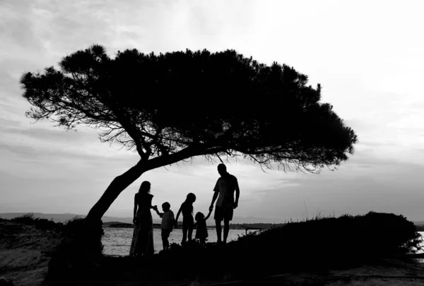 Οικογενειακή σιλουέτα στο ηλιοβασίλεμα δίπλα στη θάλασσα — Φωτογραφία Αρχείου