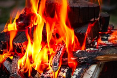 Kömürlü ateş ve doğa pikniğinde ateş. Sokaklarda yemek için şenlik ateşi yakıyor.