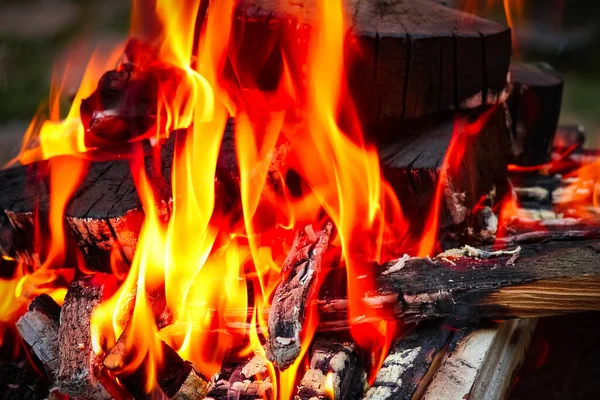 Fuego Con Carbones Fuego Fondo Del Picnic Naturaleza Quema Una — Foto de Stock