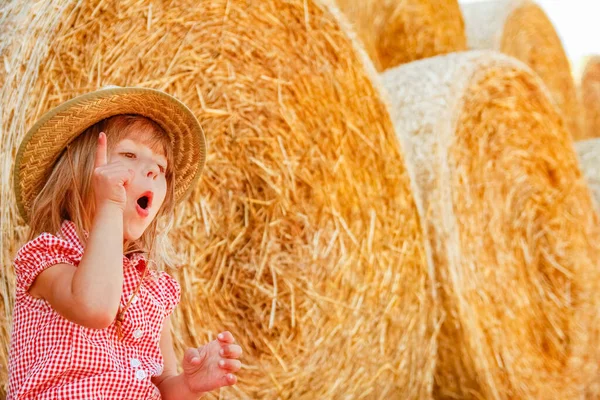Baby Mädchen Auf Einem Heuhaufen Glücklich Auf Dem Feld Hintergrund — Stockfoto