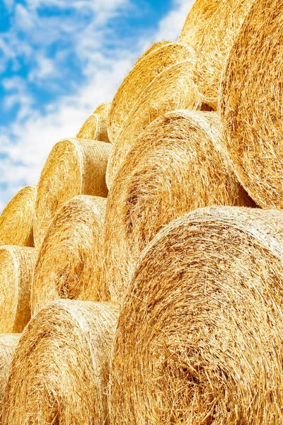 Bales Field Folded Second Use Field Animal Background — Stock Photo, Image