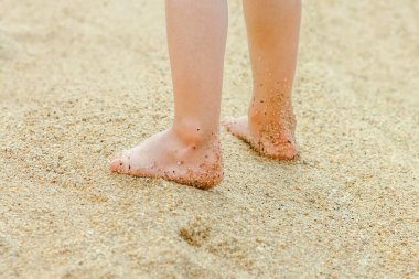 Deniz kenarında kumların üzerinde güzel ayak izleri.