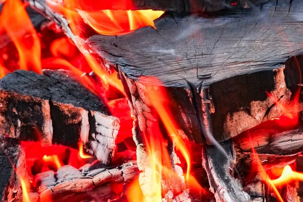 Fuego Con Carbones Fuego Fondo Del Picnic Naturaleza Quema Una — Foto de Stock