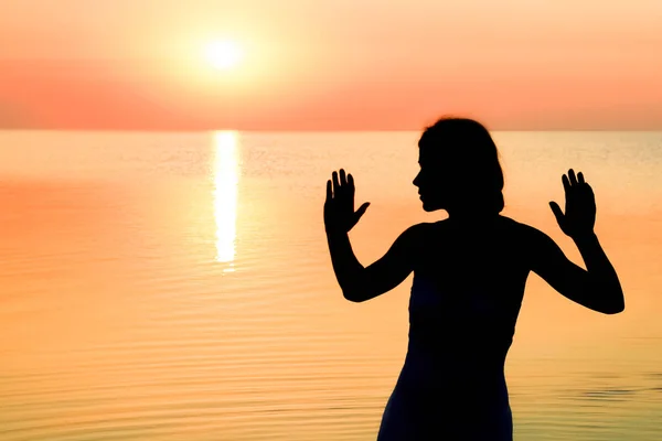 Glückliches Mädchen Meer Auf Silhouettenreise Der Natur — Stockfoto