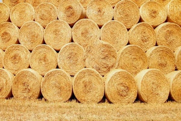 Fardos Campo São Dobrados Para Segunda Utilização Campo Para Fundo — Fotografia de Stock