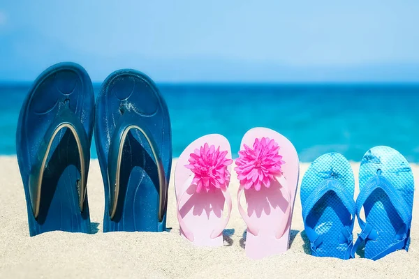 美丽的拖鞋在海边的沙滩上 在大自然的衬托下 — 图库照片