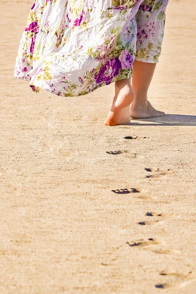 Schöne Fußabdrücke Sand Töten Auf Naturhintergrund — Stockfoto