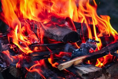 Kömürlü ateş ve doğa pikniğinde ateş. Sokaklarda yemek için şenlik ateşi yakıyor.