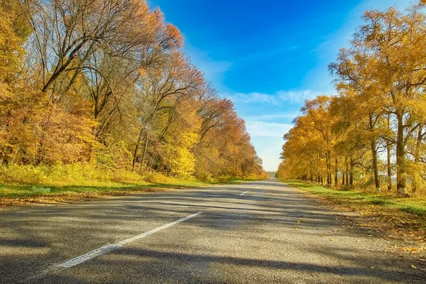 Nice Beautiful Autumn Road Travel — Stock Photo, Image