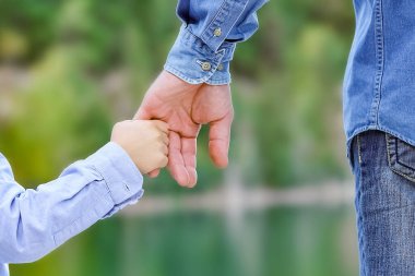 Park seyahatinde ebeveyn ve çocuğun elleri